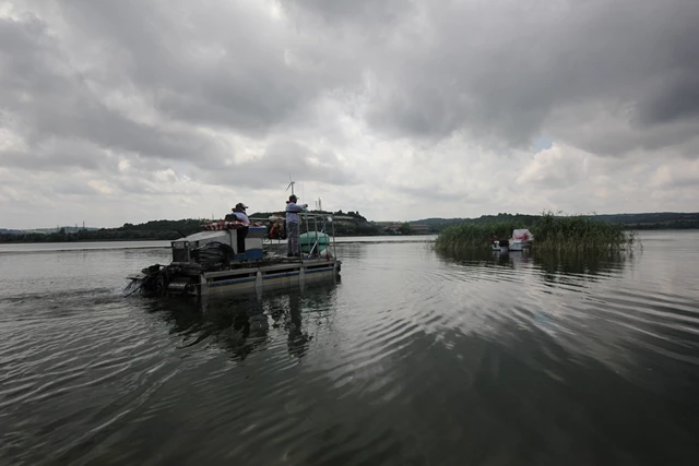 VEKTÖRLE MÜCADELEDE ARALIKSIZ DEVAM EDİYOR