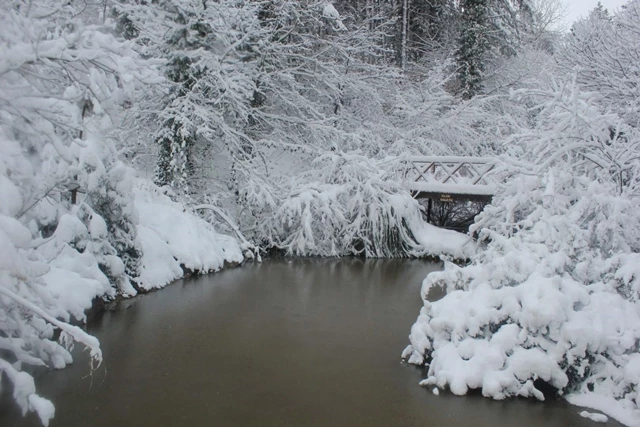 Beyaz gelinliğini giyen Kocaeli bir başka güzel