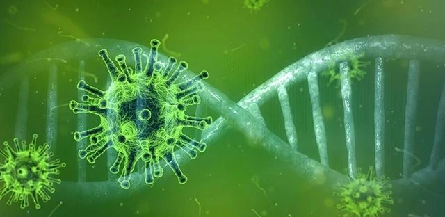 Yakın Doğu Üniversitesi, KKTC’de Saptanan SARS-CoV-2’nin Genom Haritasını Çıkardı