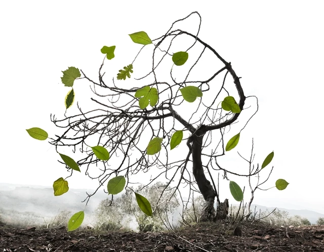 İstanbul Modern’den 23 Nisan’da çocuklara özel bir proje: Sanatla Büyüyen Ağacım