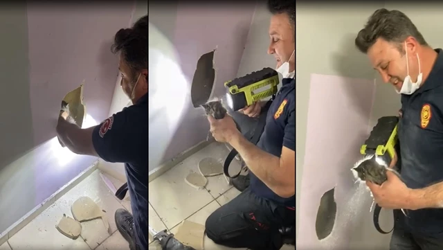 Havalandırma boşluğunda mahsur kalan kediyi itfaiye kurtardı