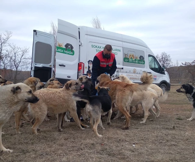Tüpraş, Sokak Hayvanlarının Yiyecek İhtiyacı için Desteğini Sürdürüyor