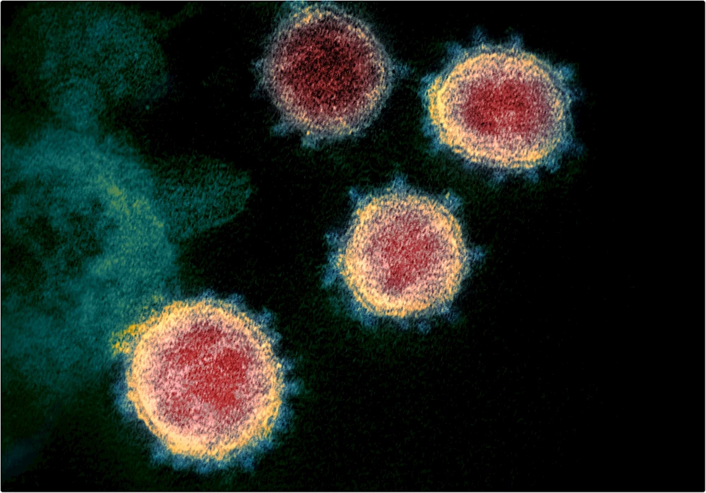 DÜNYA GENELİNDE DELTA VARYANTI PANİĞİ