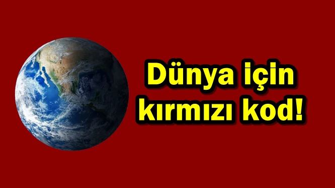 Bilim insanları iklim acil durumu uyarısında bulundu