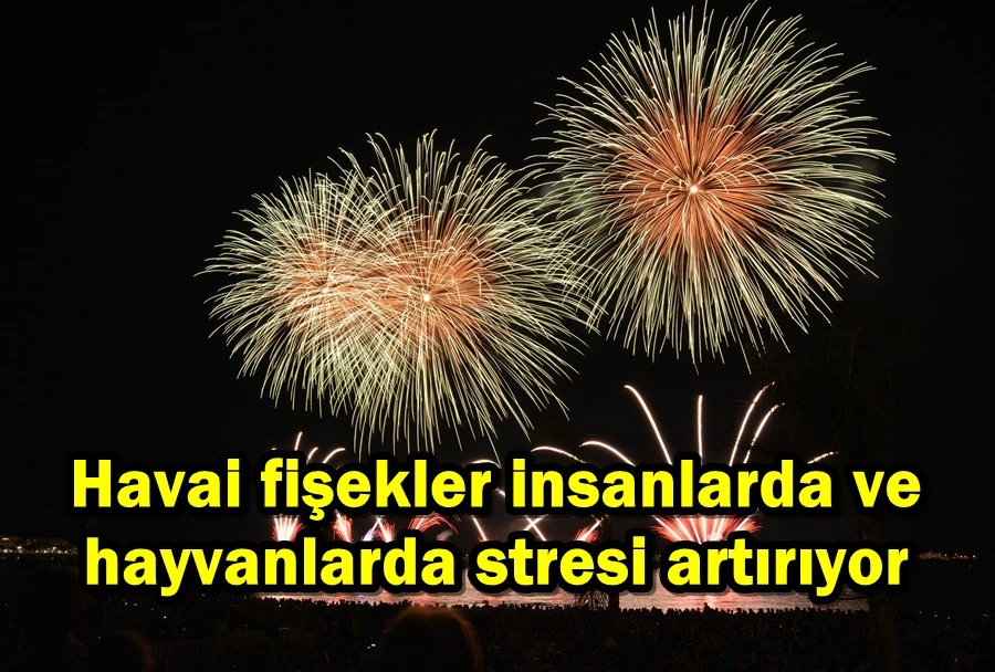 Havai fişekler insanlarda ve hayvanlarda stresi artırıyor
